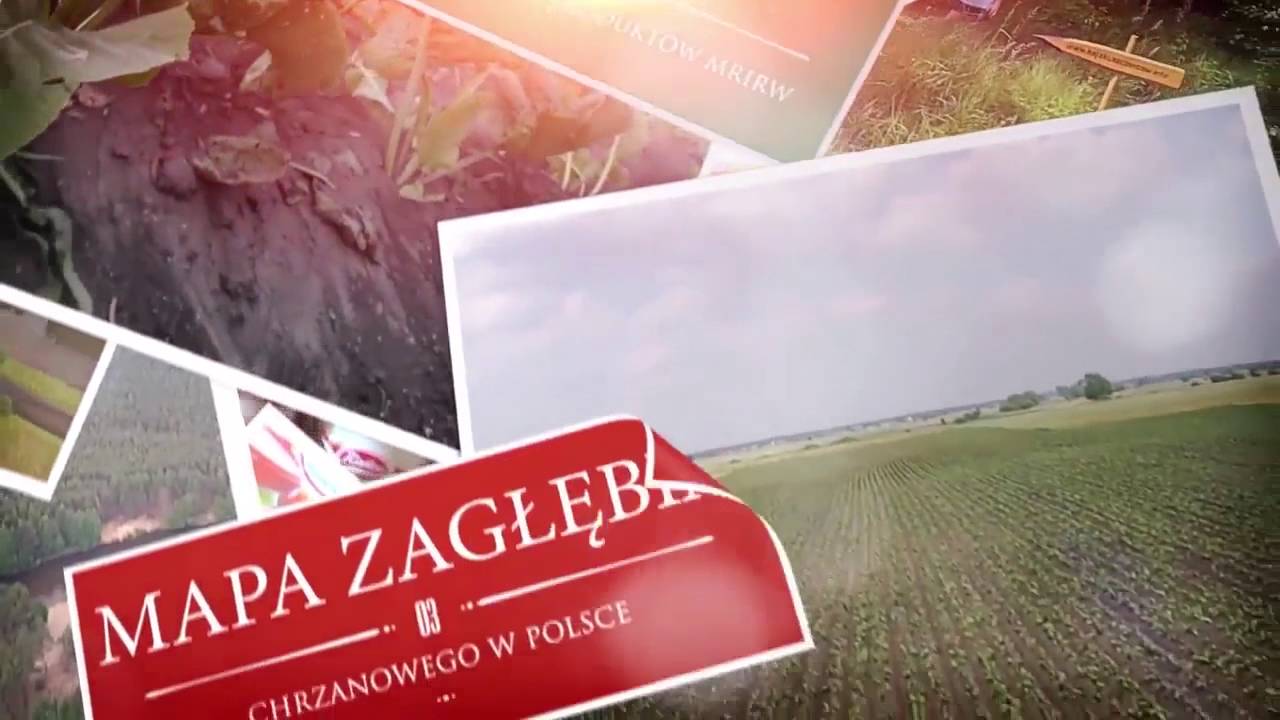 Nadwarcianski chrzan „marka” regionu lodzkiego intro - Nadwarciański chrzan „marką” regionu łódzkiego - intro
