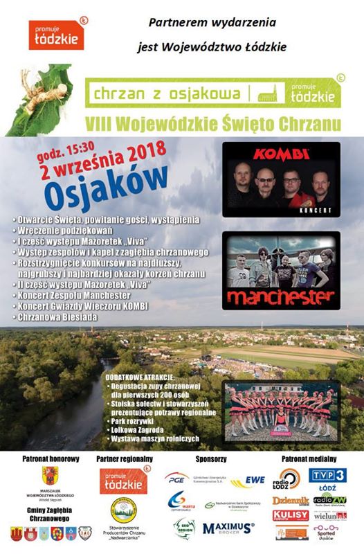 VIII Wojewódzkie Święto Chrzanu