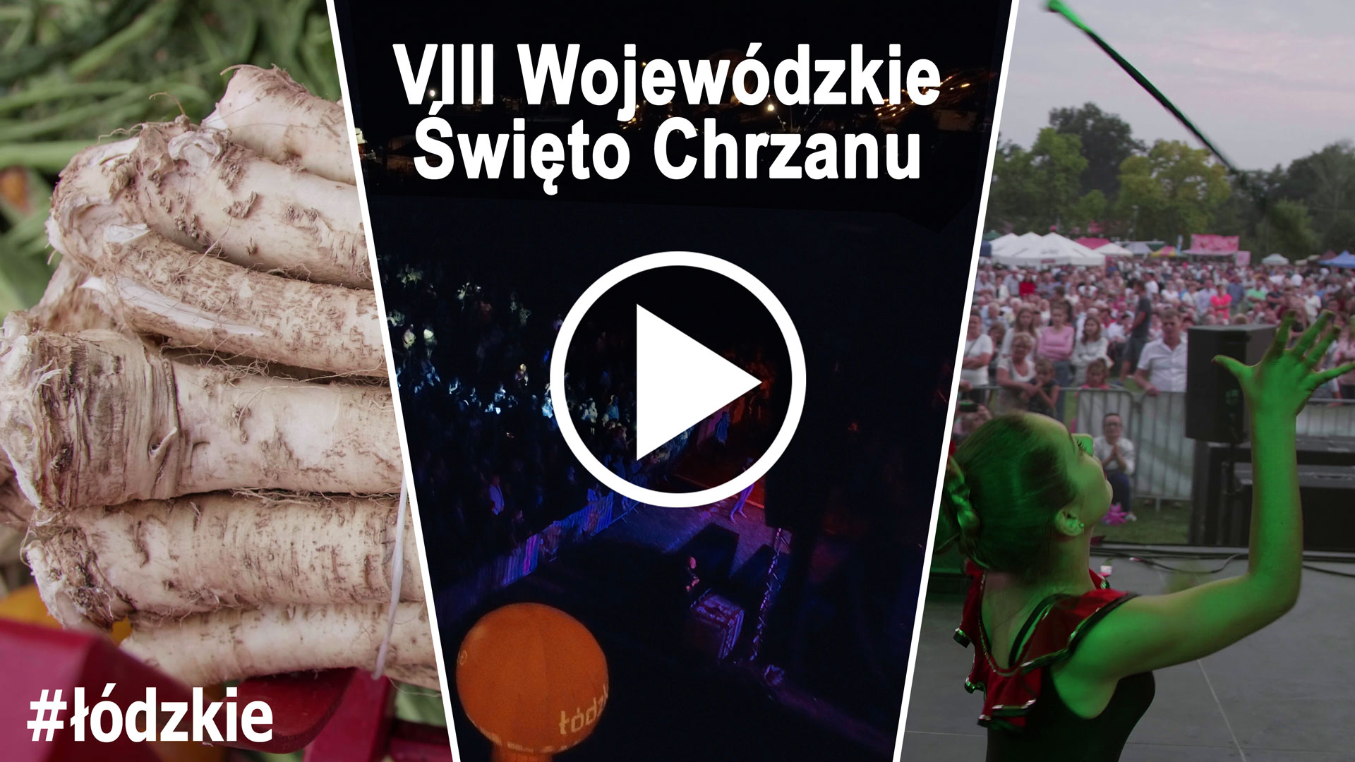 VIII Wojewódzkie Święto Chrzanu