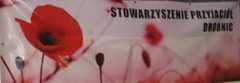 Obraz może zawierać: kwiat, roślina i przyroda