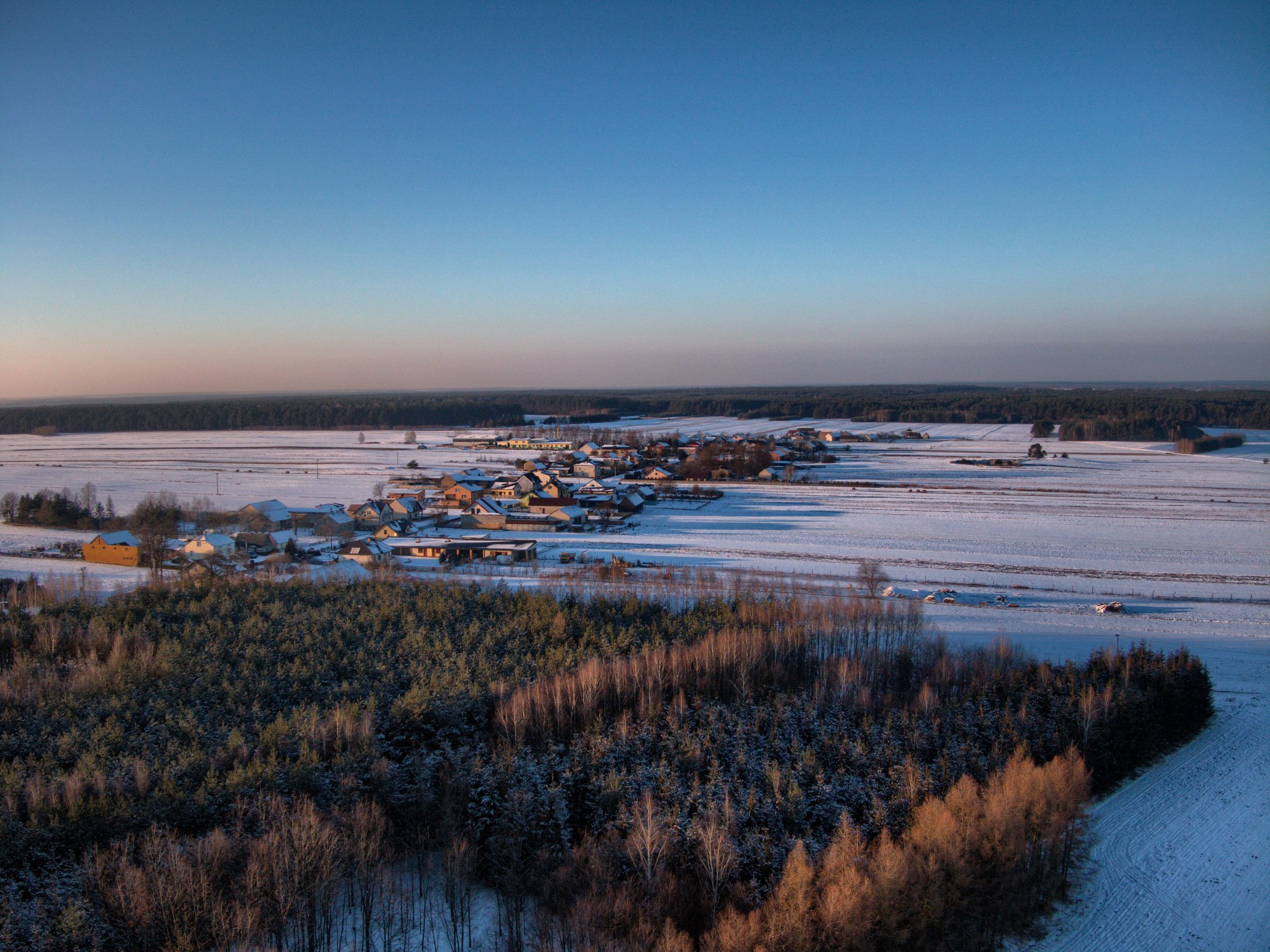 Drobnice, Dąbrowa