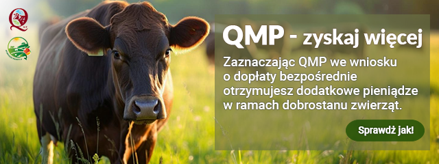 Dodatkowe wsparcie dla hodowców bydła z QMP – tylko do 16 czerwca! 640x240px kopia - Dodatkowe wsparcie dla hodowców bydła z QMP – tylko do 16 czerwca!